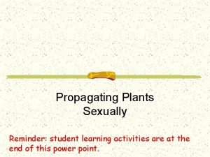 Propagating Plants Sexually Reminder student learning activities are