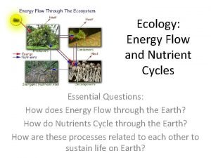 Ecology Energy Flow and Nutrient Cycles Essential Questions