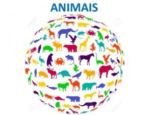 ANIMAIS DOMNIOS REINO ANIMAL OU ANIMALIA OU METAZOA