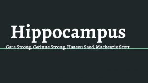 Hippocampus Cara Strong Corinne Strong Haneen Saed Mackenzie