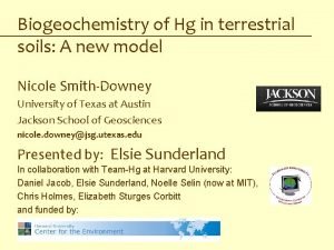 Biogeochemistry of Hg in terrestrial soils A new