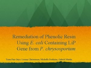 Remediation of Phenolic Resin Using E coli Containing