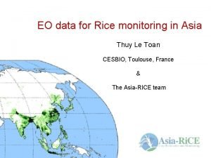 EO data for Rice monitoring in Asia Thuy