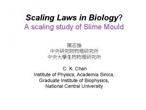 Scaling Laws in Biology A scaling study of