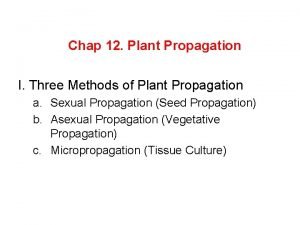 Scarification and stratification of seed