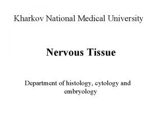 Kharkov National Medical University Nervous Tissue Department of