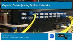 Organic SelfAdjusting Optical Networks Hayim Porat CTO ECI