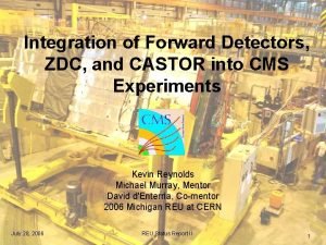 Integration of Forward Detectors ZDC and CASTOR into