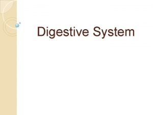 Digestive System Digestive System Learning Goals Understand the