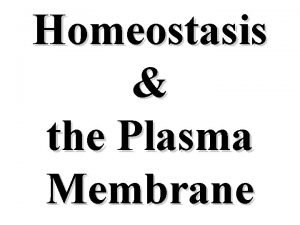 Homeostasis the Plasma Membrane Structure of the Plasma