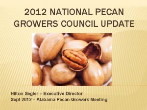 2012 NATIONAL PECAN GROWERS COUNCIL UPDATE Hilton Segler