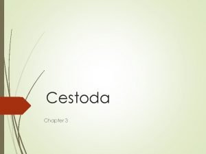 Cestoda Chapter 3 3 2 Learning Objectives 1