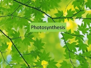 Purpose of photosynthesis