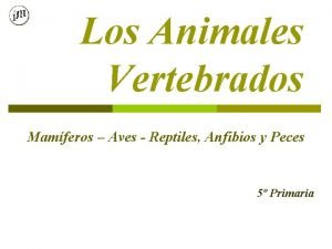 Animales vertebrados