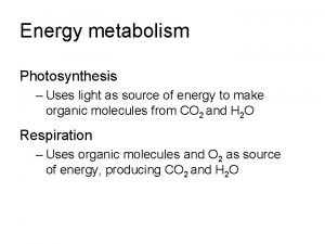 Chapter 7 a closer look energy metabolism pathways