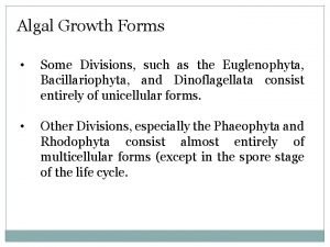 Algal Growth Forms Some Divisions such as the