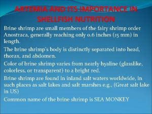 ARTEMIA AND ITS IMPORTANCE IN SHELLFISH NUTRITION Brine