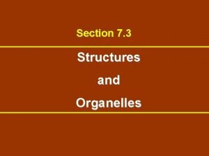 Section 3 structures and organelles