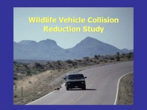 Wildlife Vehicle Collision Reduction Study Why this Study