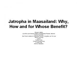 Jatropha in Maasailand Why How and for Whose