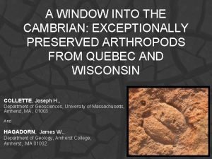 A WINDOW INTO THE CAMBRIAN EXCEPTIONALLY PRESERVED ARTHROPODS A WINDOW INTO THE CAMBRIAN EXCEPTIONALLY PRESERVED ARTHROPODS