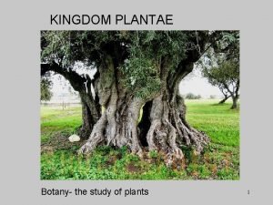 The study of plants The study of plants