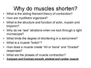 Why do muscles shorten What is the sliding