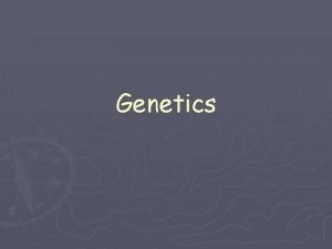 Genetics I Gregor Mendel A He carried out