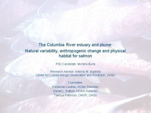 The Columbia River estuary and plume Natural variability
