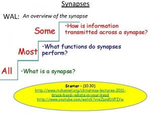 Functions of synapses