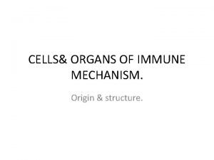 CELLS ORGANS OF IMMUNE MECHANISM Origin structure IMMUNE