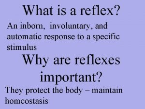 What is a reflex An inborn involuntary and