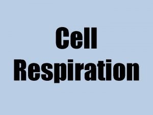 Cell Respiration Electrons carried in NADH Pyruvic acid