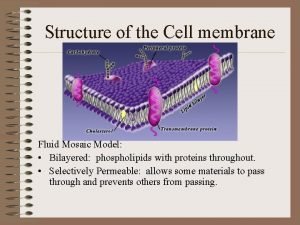 Structure of the Cell membrane Fluid Mosaic Model