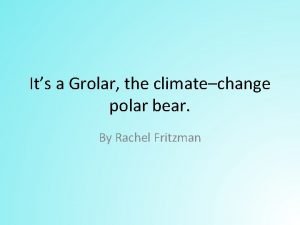 Its a Grolar the climatechange polar bear By