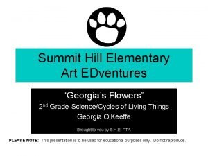 Summit Hill Elementary Art EDventures Georgias Flowers 2