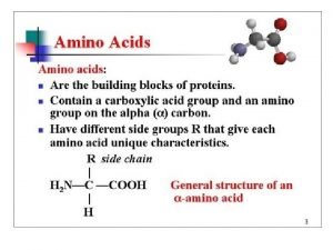 Amino Acids Amino Acids Amino Acids Amino Acids