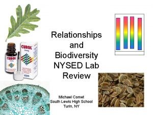 Relationships and Biodiversity NYSED Lab Review Michael Comet