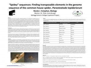 Spidey sequences Finding transposable elements in the genome