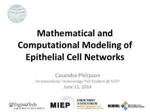 Mathematical and Computational Modeling of Epithelial Cell Networks