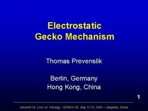 Thomas prevenslik Thomas prevenslik