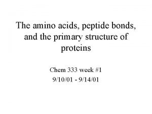 The amino acids peptide bonds and the primary