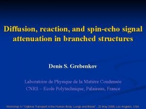 Diffusion reaction and spinecho signal attenuation in branched