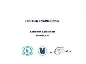 PROTEIN ENGINEERING Loschmidt Laboratories Enantis Ltd LOSCHMIDT LABORATORIES