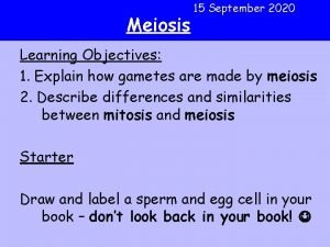 Mitosis and meiosis differences Mitosis and meiosis differences