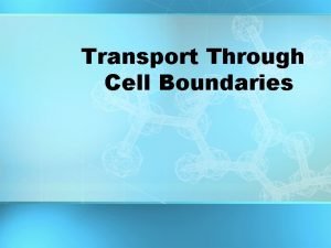 Transport Through Cell Boundaries Every living cell exists