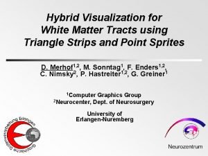 Hybrid Visualization for White Matter Tracts using Triangle