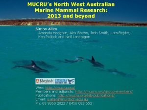 Australian marine mammal research centre Australian marine mammal research centre