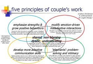 five principles of couples work Andrew Christensen A