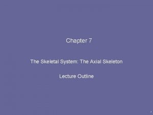 Chapter 7 The Skeletal System The Axial Skeleton